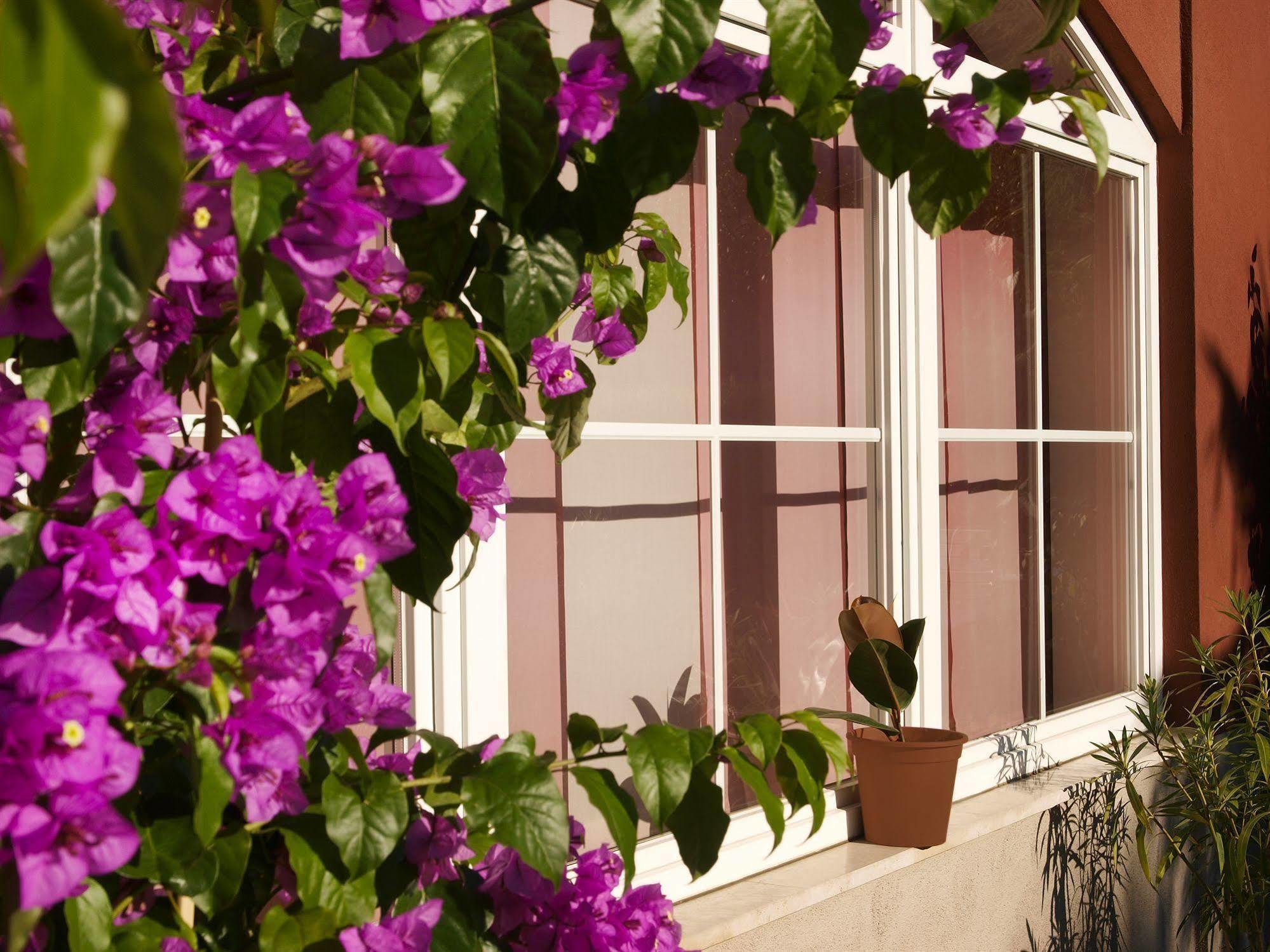 Rosa 3* Torbole Sul Garda
